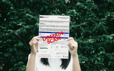 Recognizing Domain Renewal Scams